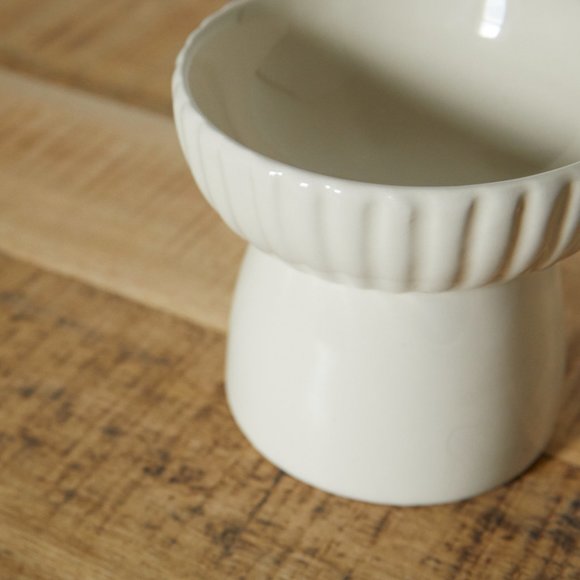 Cooking For Your Cat Cookbook + Tall Ceramic Food Dish NWOT - Picture 3 of 7